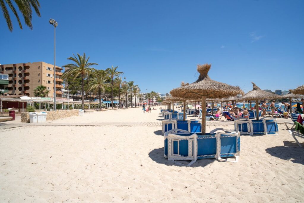 Imagen de galer&iacute;a 1047