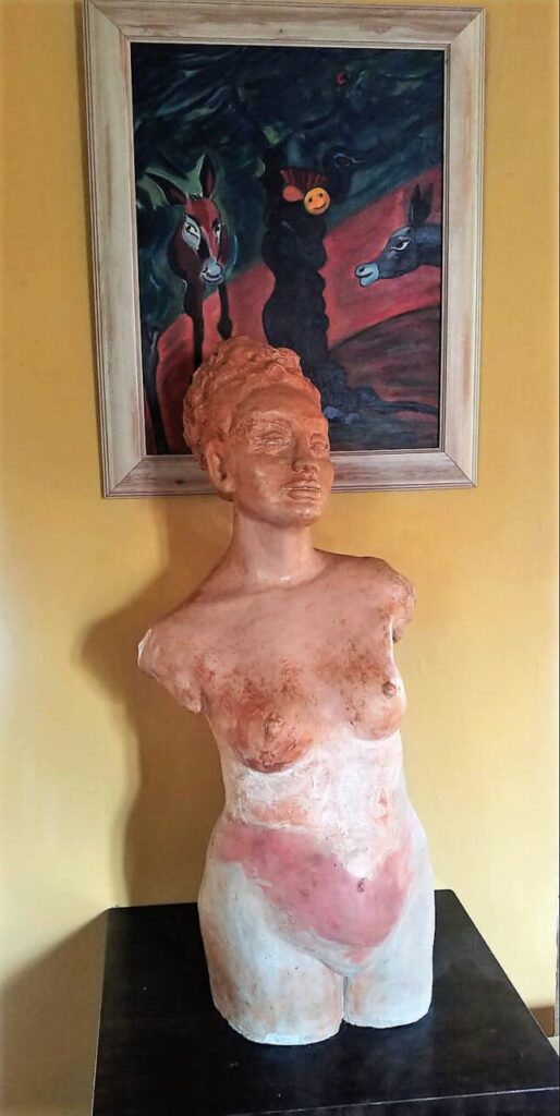 Imagen de galer&iacute;a 1254