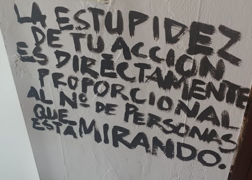 Imagen de galería 972