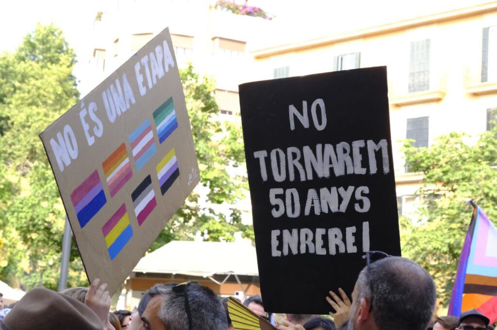 Imagen de galería 1435