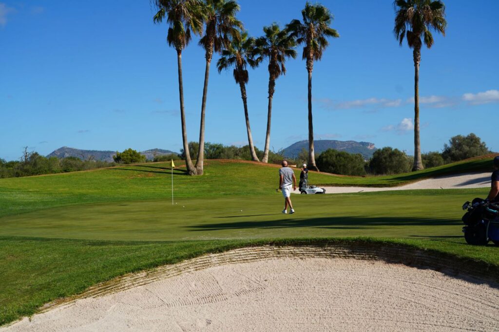 Imagen de galería 1556