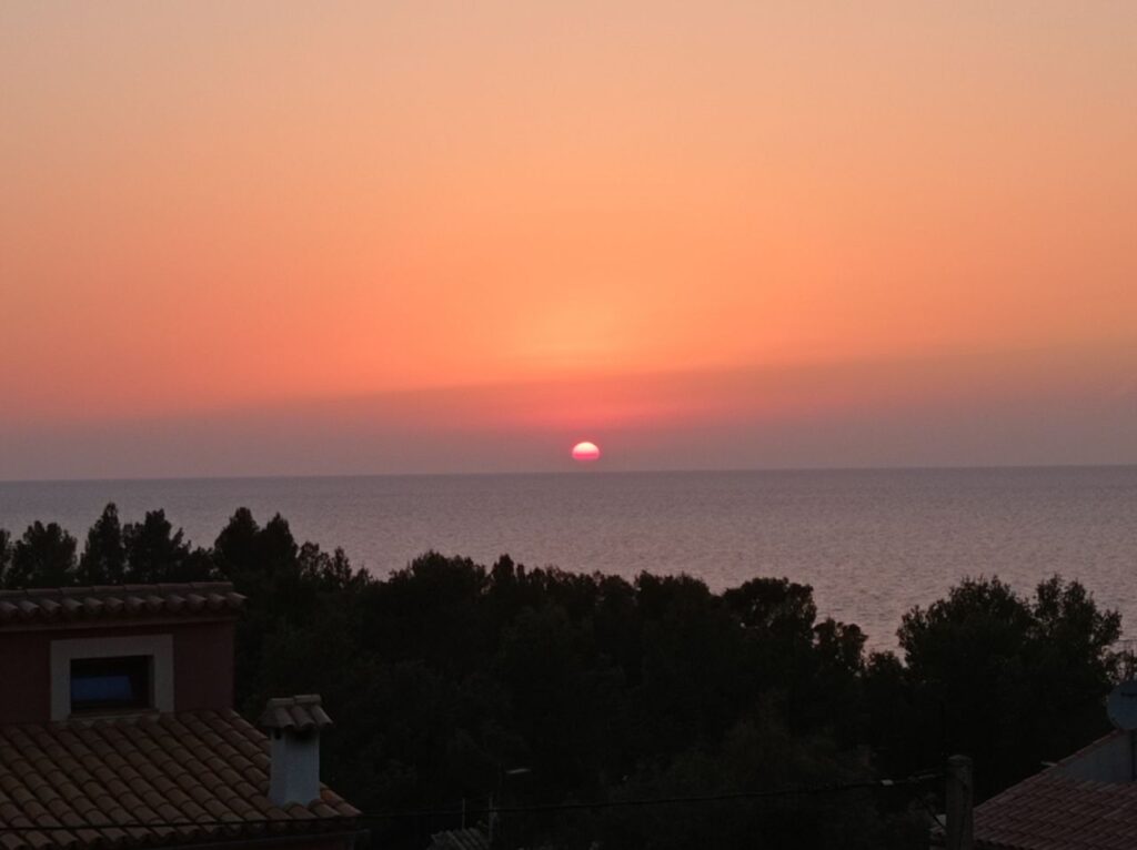 Imagen de galería 896