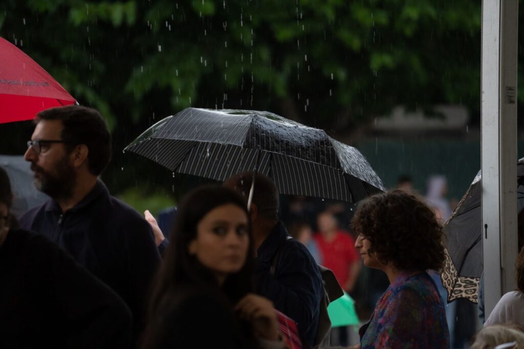 Imagen de galería 1394