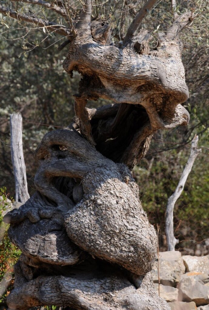 Imagen de galería 864