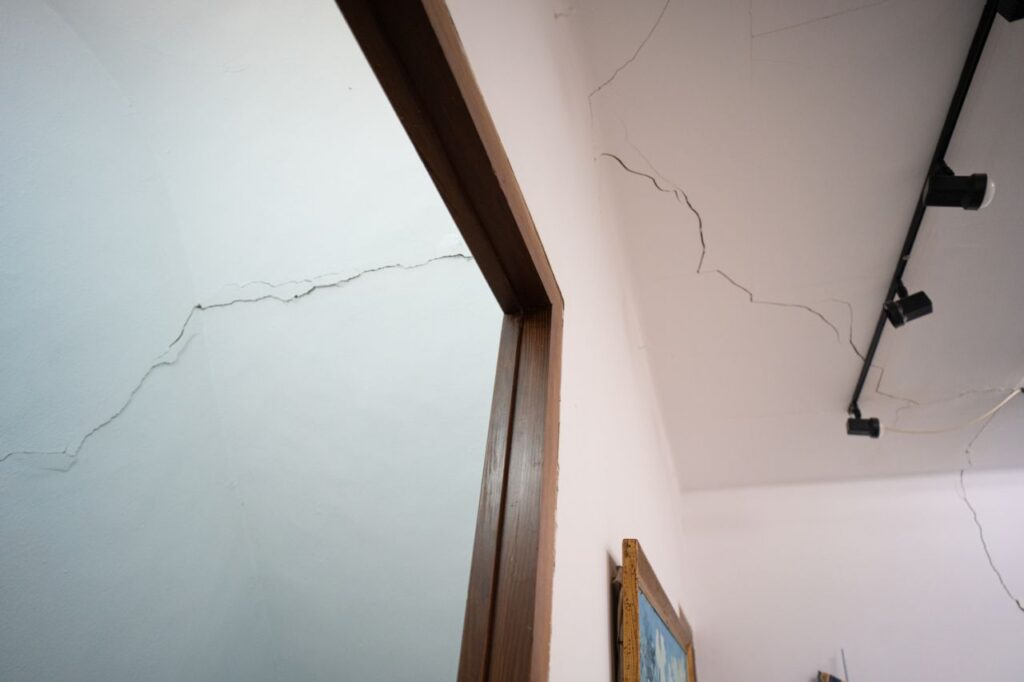 Imagen de galer&iacute;a 989