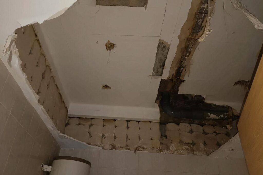 Imagen de galer&iacute;a 1353