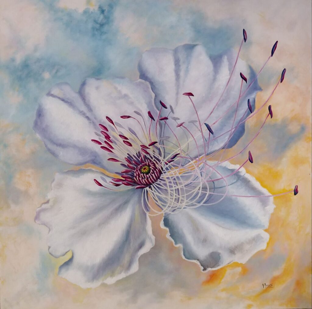 Imagen de galer&iacute;a 1021