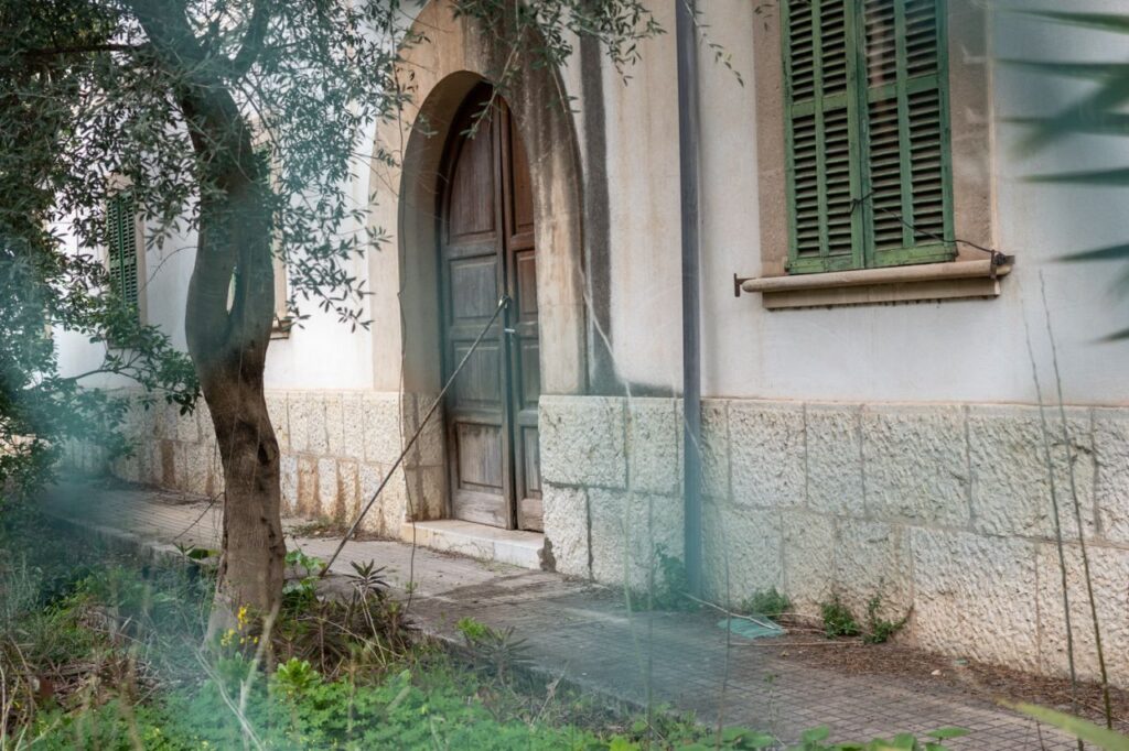 Imagen de galer&iacute;a 1292