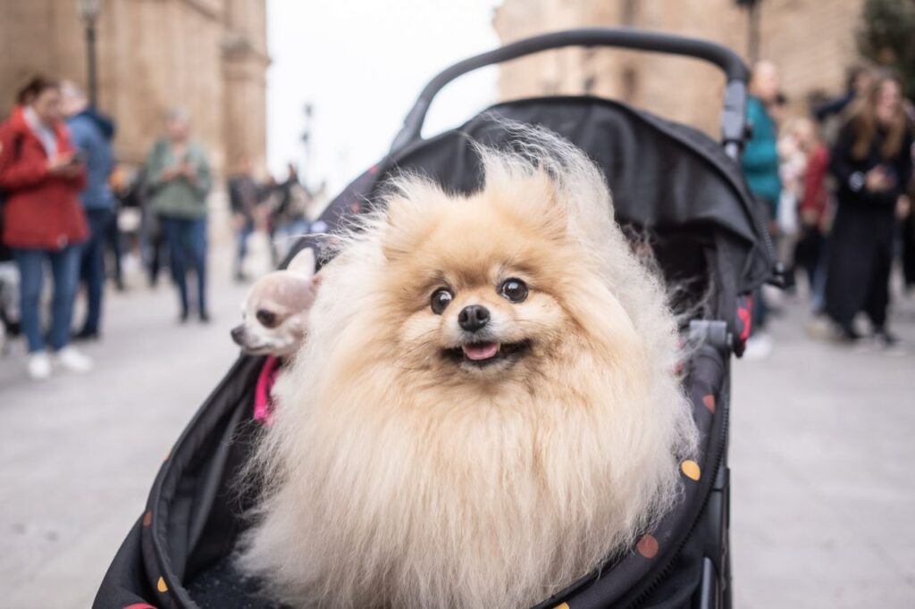 Imagen de galería 1625