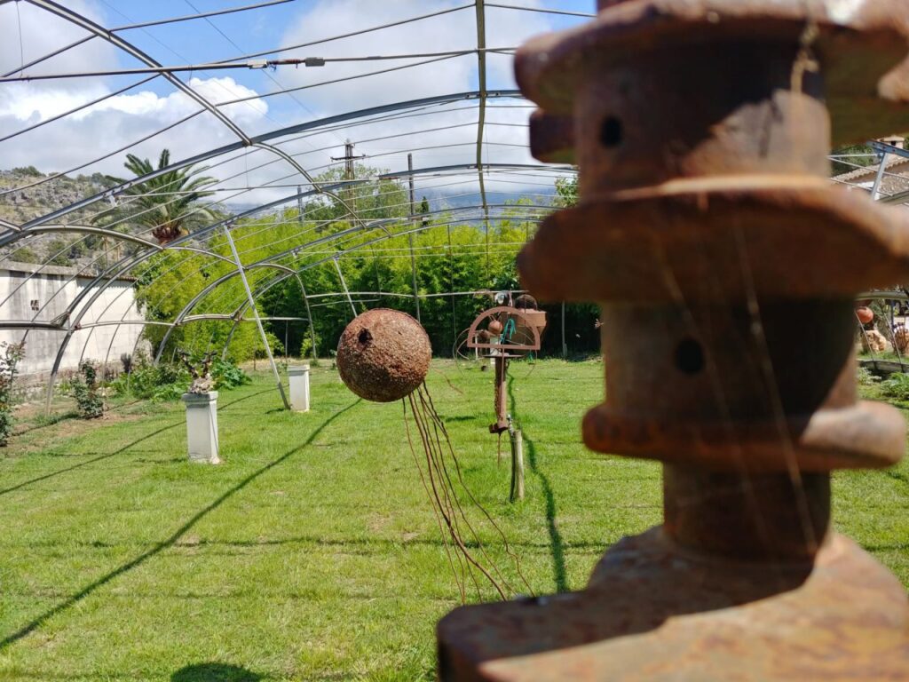 Imagen de galer&iacute;a 890