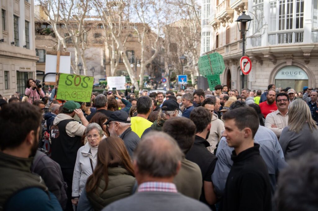 Imagen de galería 1658