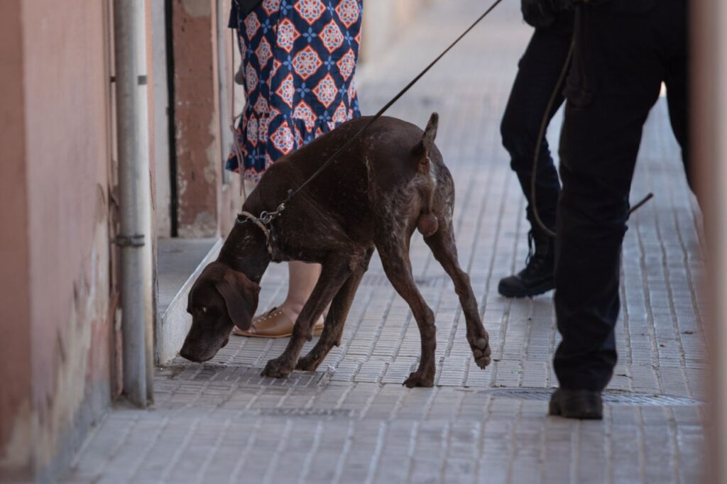 Imagen de galería 1072