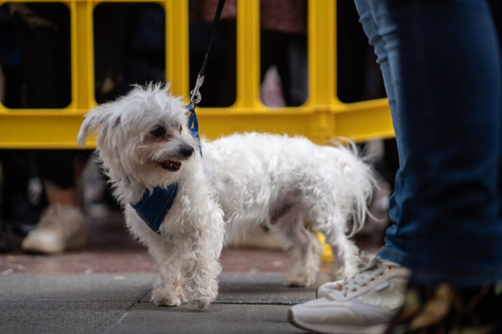 Imagen de galería 1625