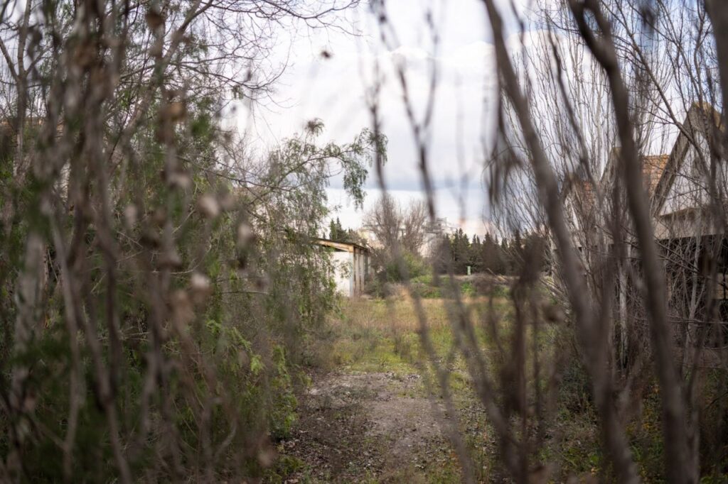 Imagen de galer&iacute;a 1292