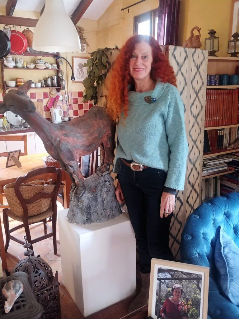 Imagen de galer&iacute;a 1254