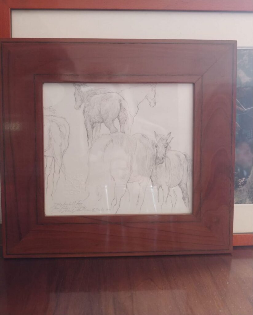 Imagen de galer&iacute;a 815