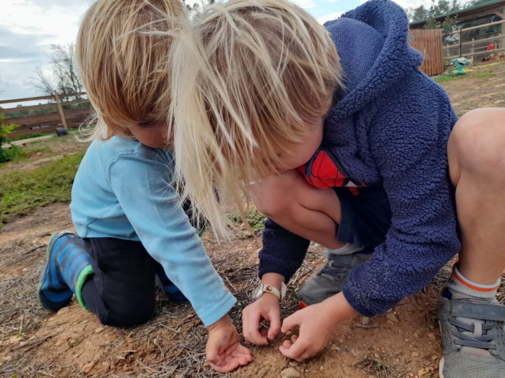 Imagen de galería 1389