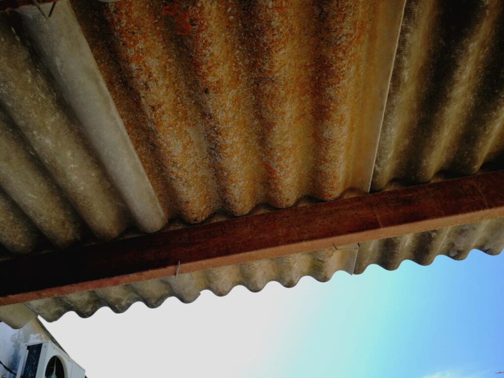 Imagen de galer&iacute;a 484