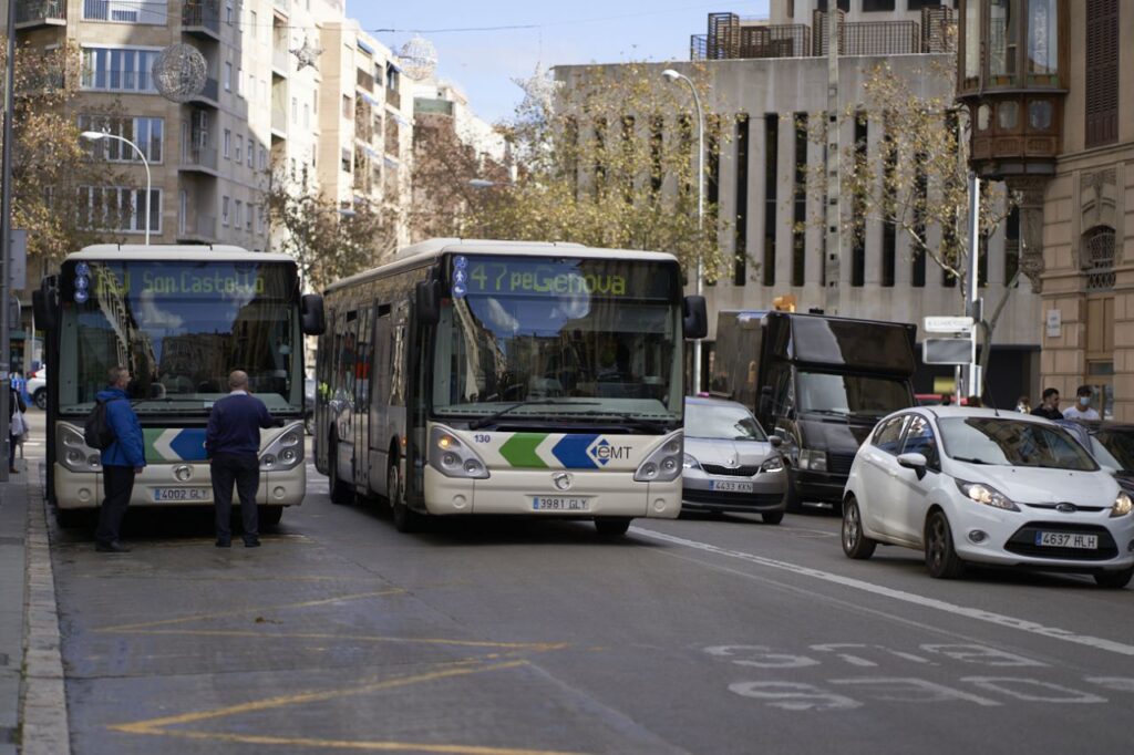 Imagen de galería 803