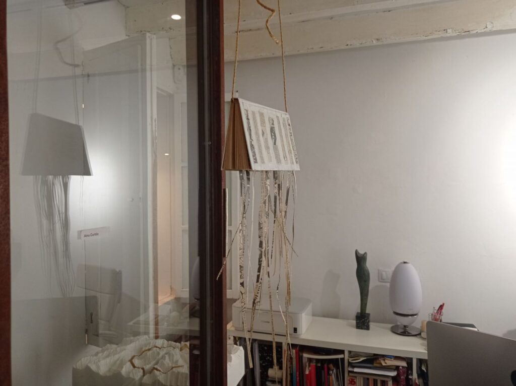 Imagen de galería 1182