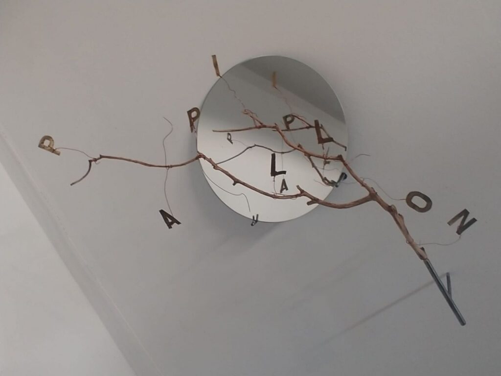 Imagen de galer&iacute;a 956