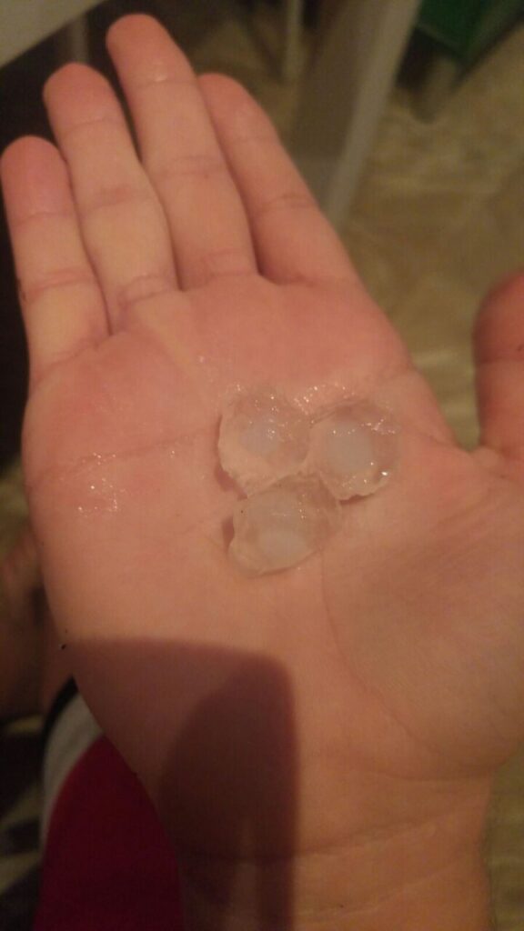 Imagen de galería 76