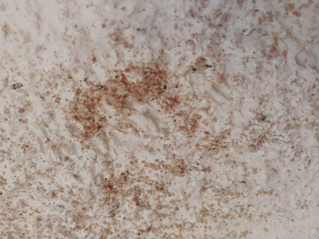 Imagen de galería 1200