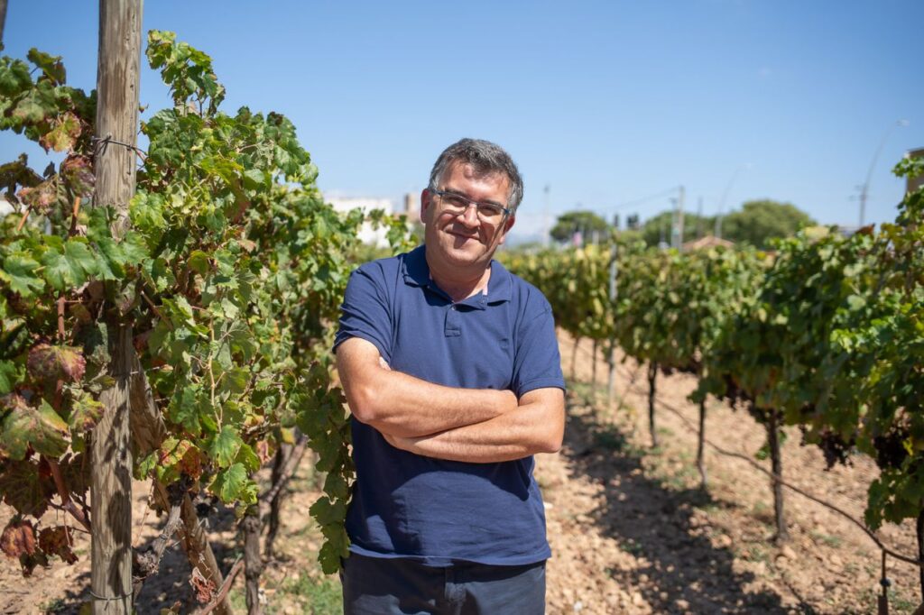 Imagen de galería 1507