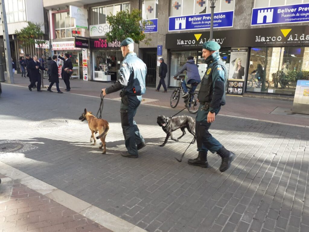 Imagen de galería 1253