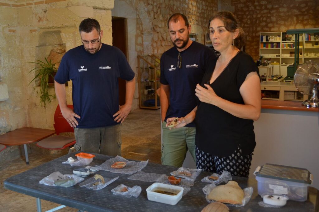 Imagen de galería 135