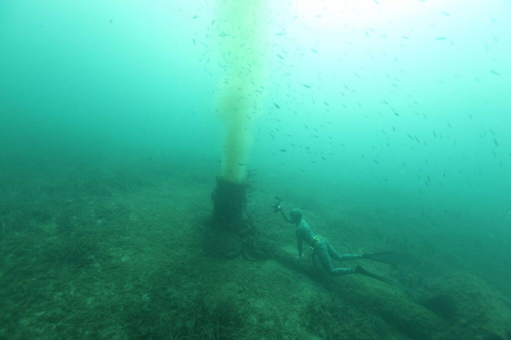 Imagen de galería 194