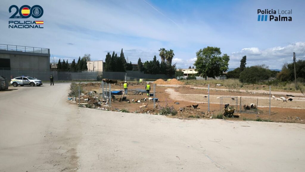 Imagen de galer&iacute;a 1753