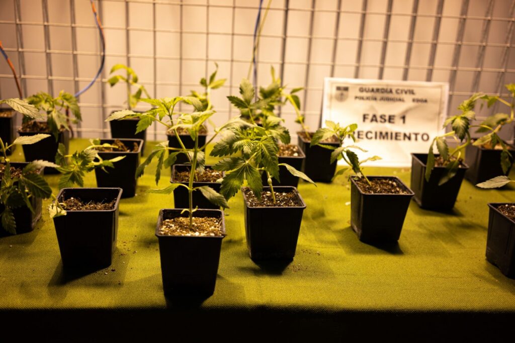 Imagen de galer&iacute;a 992