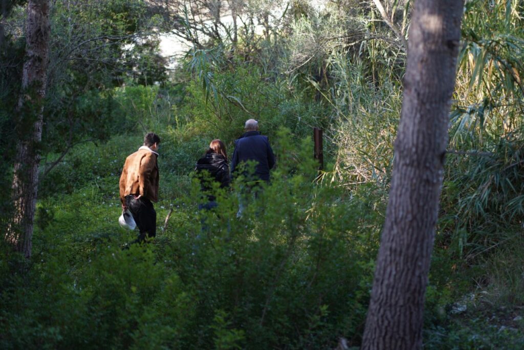 Imagen de galería 1671