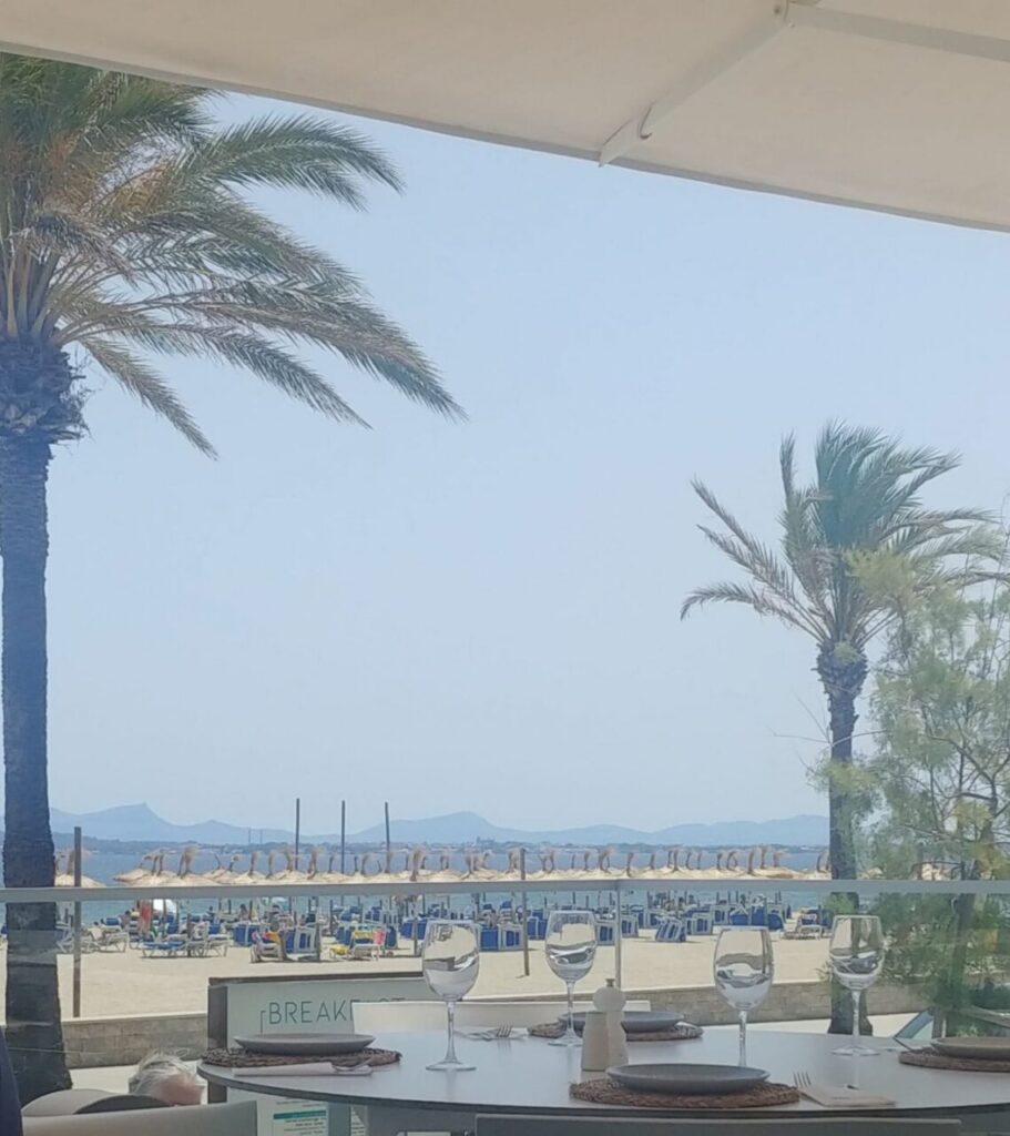 Imagen de galería 893