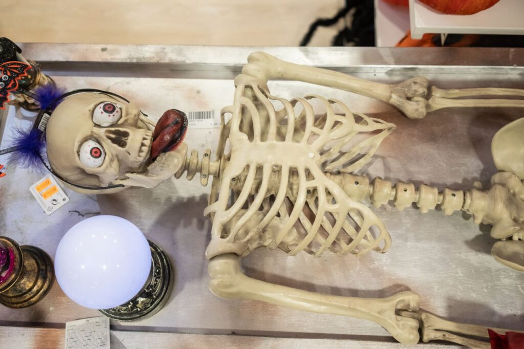 Imagen de galería 1544