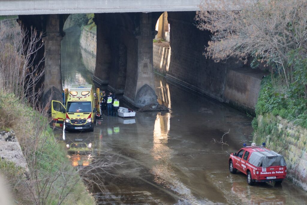 Imagen de galería 1650