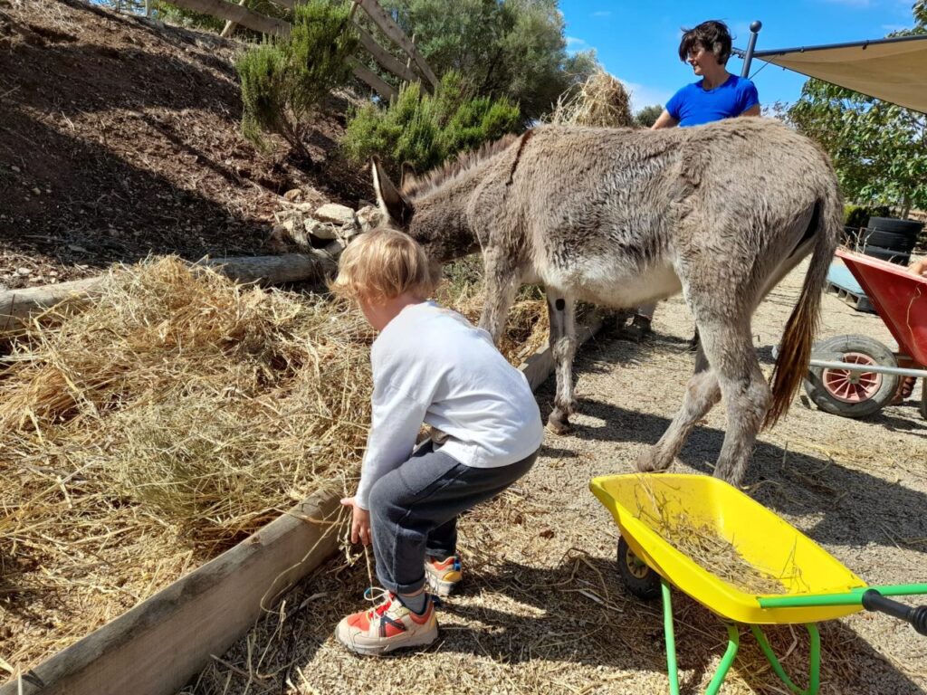 Imagen de galería 1389