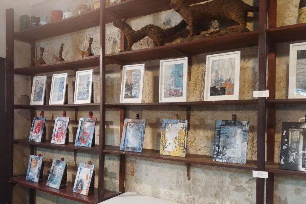 Imagen de galer&iacute;a 1277