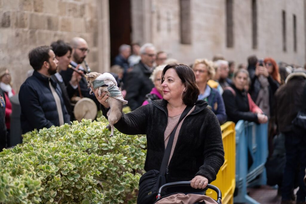 Imagen de galería 1625