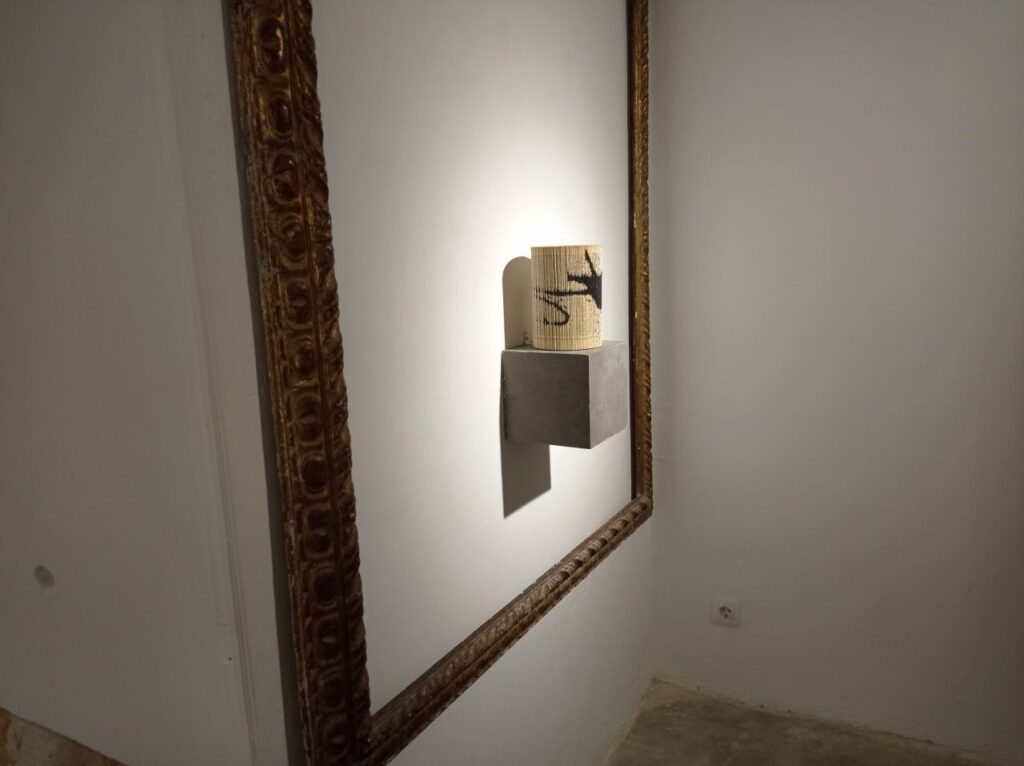 Imagen de galería 1182