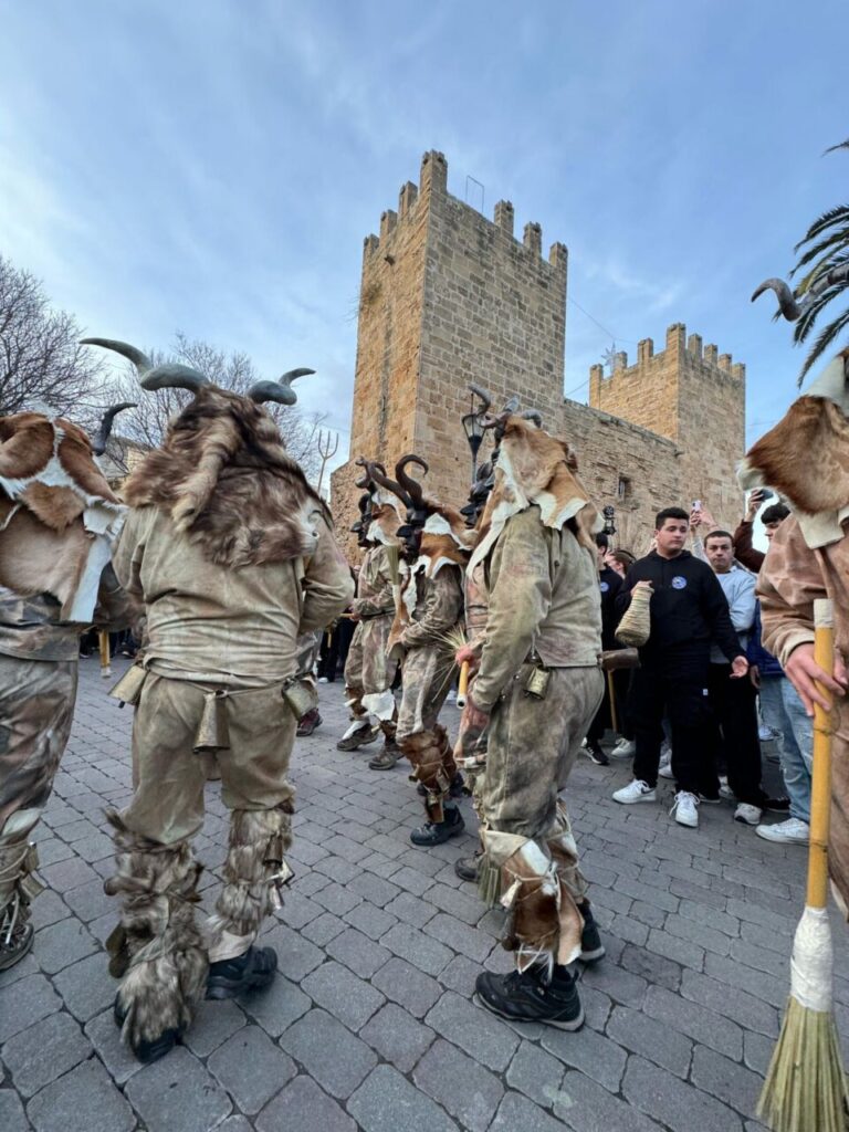 Imagen de galería 1624