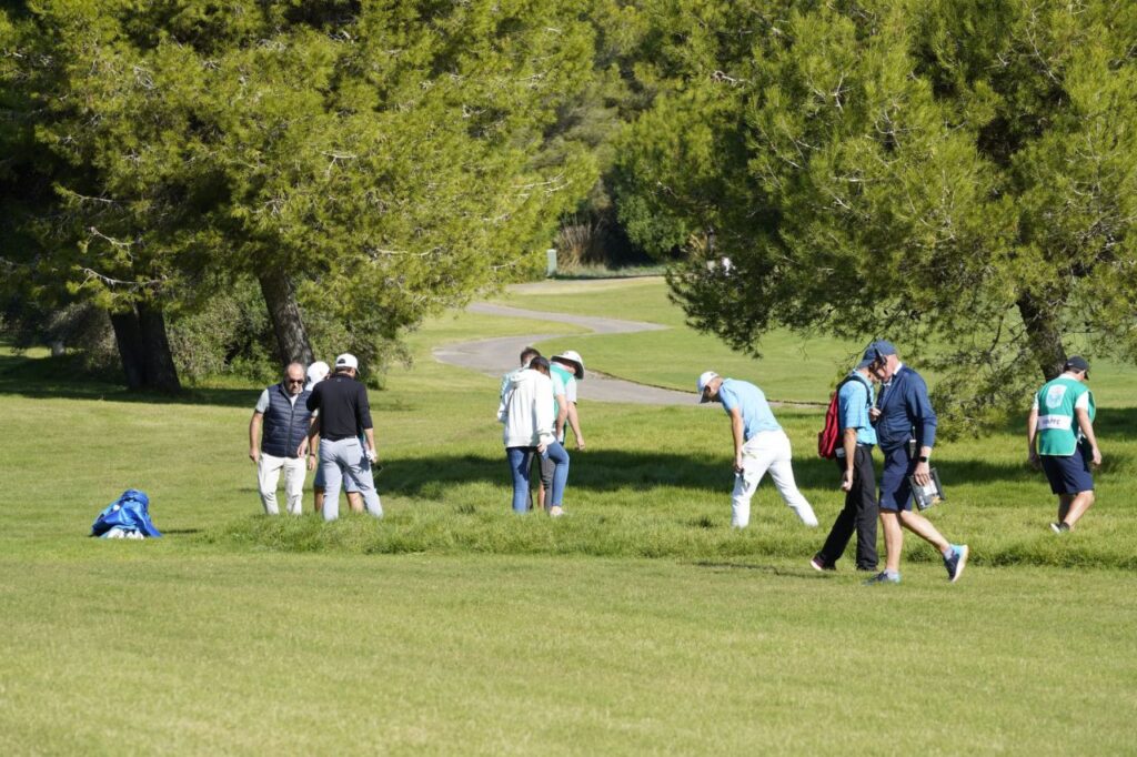 Imagen de galería 1170