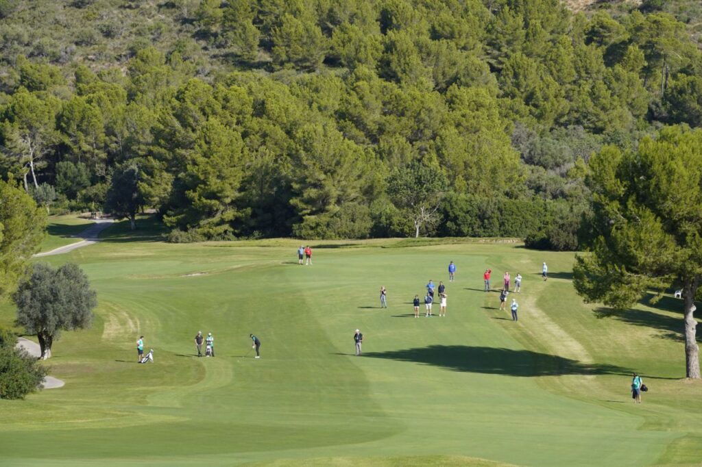 Imagen de galería 1170