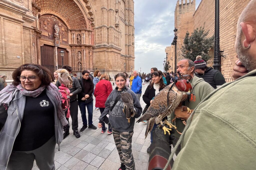 Imagen de galería 1625