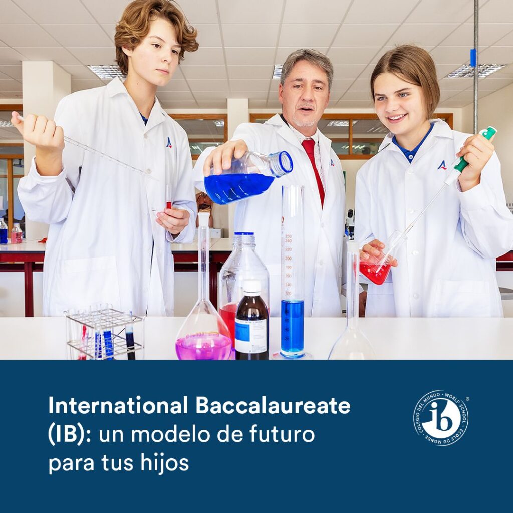 Imagen de galería 1641