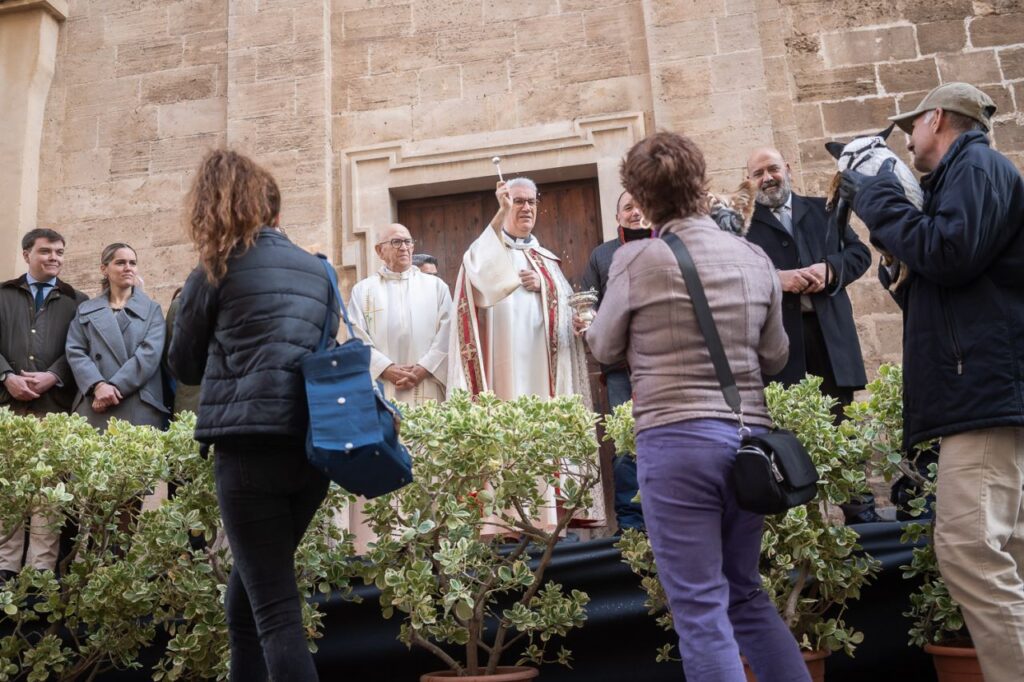 Imagen de galería 1625