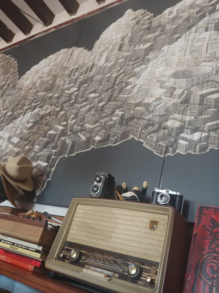 Imagen de galería 972