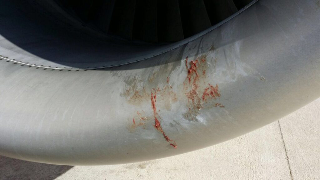 Imagen de galería 67