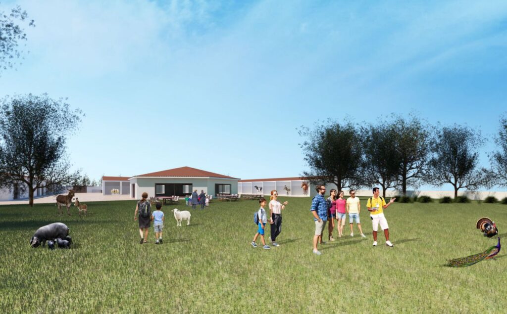 Imagen de galer&iacute;a 533